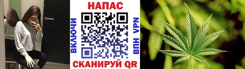 Бошки марихуана план  Нижневартовск 